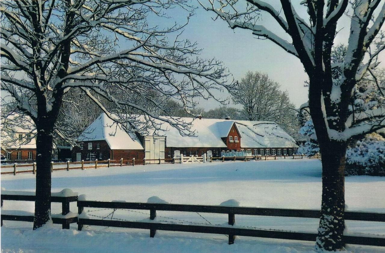 Hof Diederichs Bohmstedt Kültér fotó